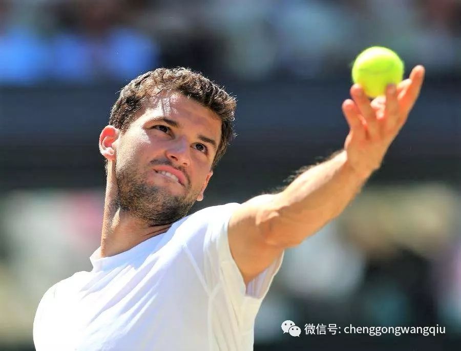 场备受关注 场备受关注