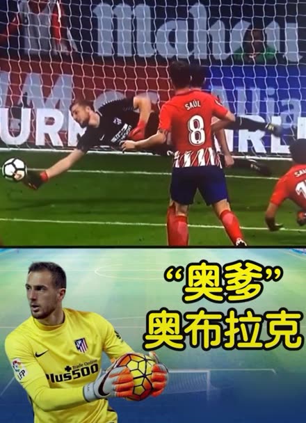 撑起数据与